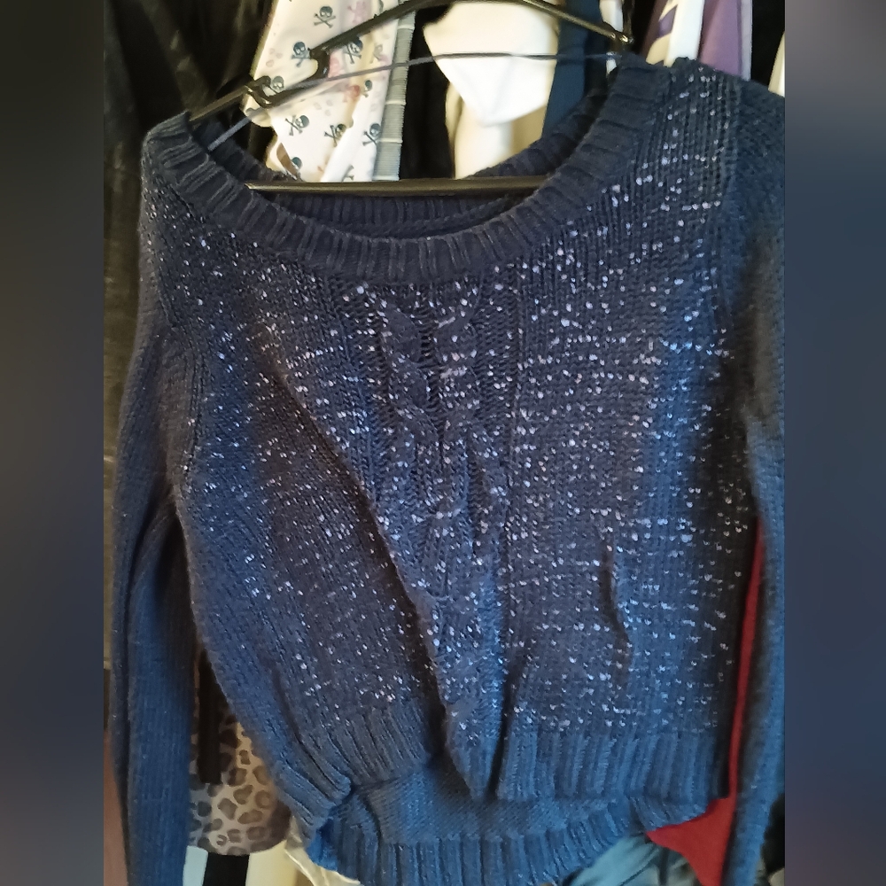 Mudd Blue Sweater Large